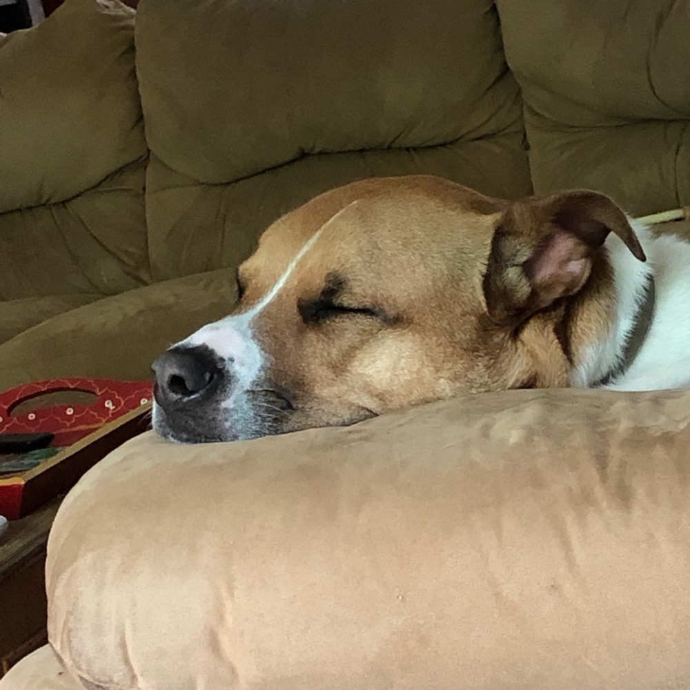 Meet your Posher, Suzanne